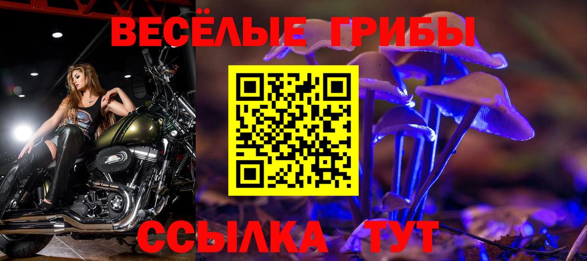 Псилоцибиновые грибы мухоморы Долгопрудный
