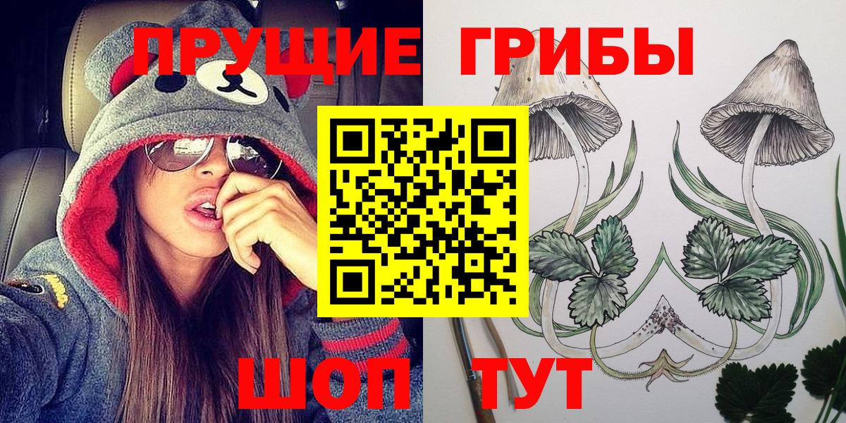 Долгопрудный  где купить наркоту  Вход с VPN  Псилоцибиновые грибы Magic Shrooms  Галлюциногенные грибы MAGIC MUSHROOMS 